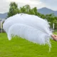 thumbnail image 2 of 10 piezas/lote de plumas de avestruz blancas naturales para manualidades, 15-45 cm, decoración de bodas, fiestas, centros de mesa, carnaval, Plumas Deco, 2 of 5