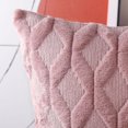 thumbnail image 5 of Paquete de 2 fundas de almohada decorativas de terciopelo de lana corta de felpa suave funda de cojín de estilo lujoso funda de almohada para sofá dormitorio cuadrado JFHHH pequeña, 5 of 5