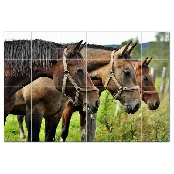 Horse Ceramic Tile Mural Kitchen Backsplash Bathroom Shower, 402904-XL64