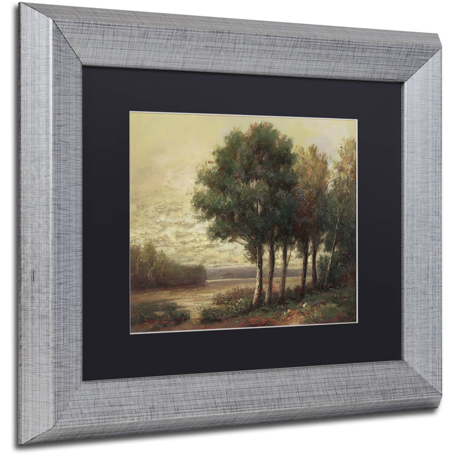 Trademark Fine Art "Tranquility" Canvas Art by Daniel Moises, Black Matte, Silver Frame