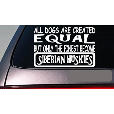 Siberian husky all dogs equal 6