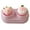 Pink, variant on Cartoon Cupcake Contact Lenses Kits With Wearing Tools Drawer Lens Holder For Busy Lifestyles And Fast Lens Changes