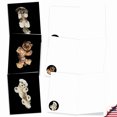 thumbnail image 3 of 20 All Occasion Blank Cards Assorted (10 Designs, 2 Each) - Little Under Dogs All Occasion (4" x 5.12") AM7184OCB-B2x10, 3 of 6