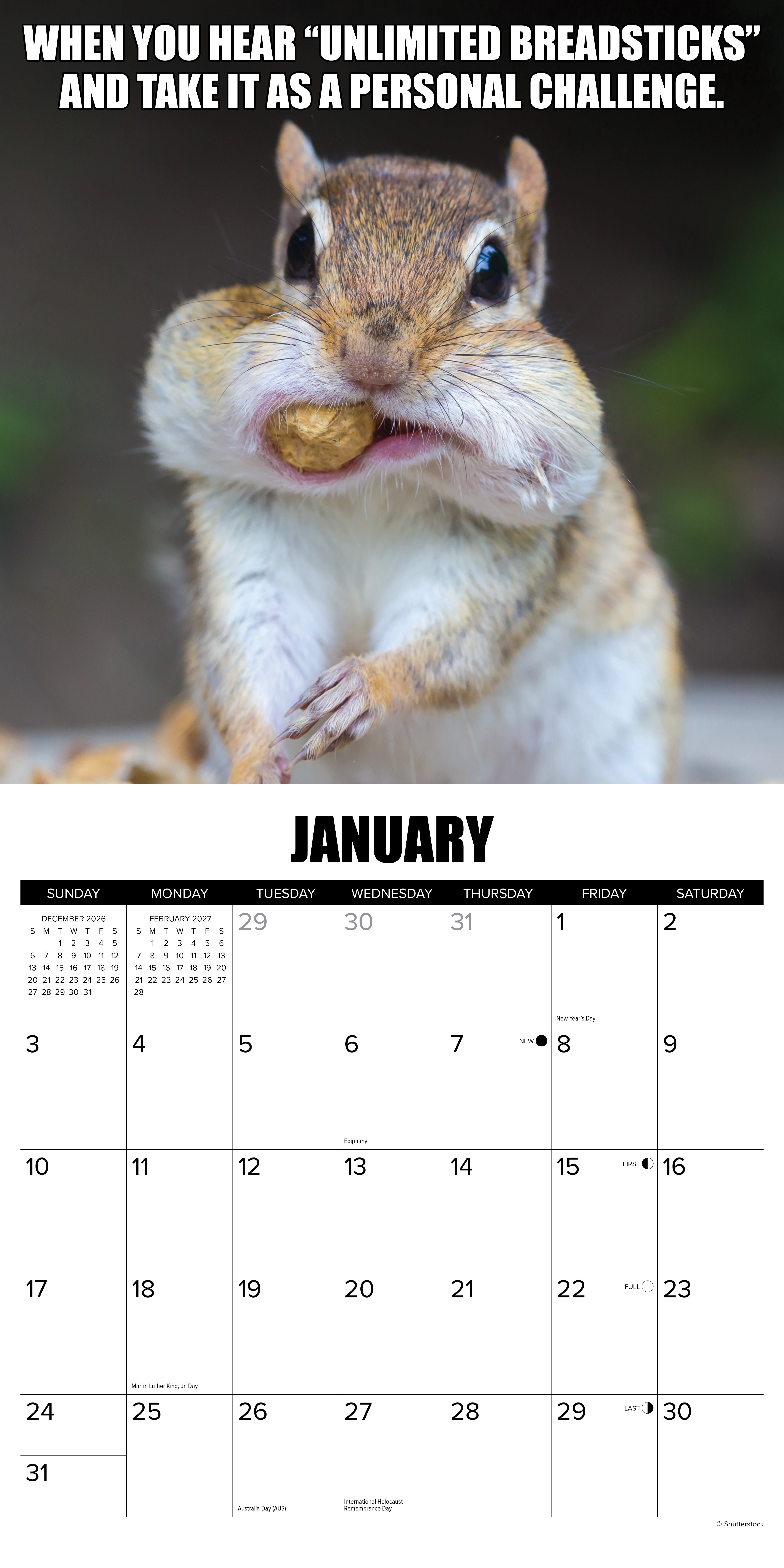 Willow Creek Press, Animal Antics 2027 Wall Calendar