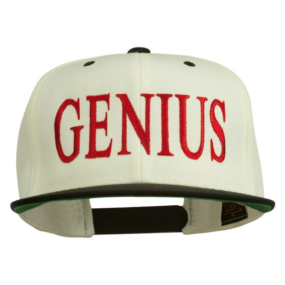 Genius Embroidered Two Toned Snapback Cap - Natural Black OSFM