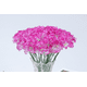 thumbnail image 1 of Xiao Hua 24 flores artificiales de clavel, flores falsas, flores artificiales para decoración de bodas, 1 of 5