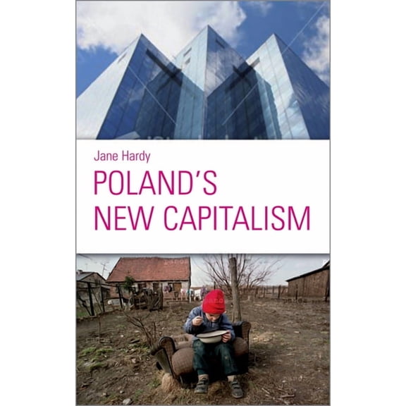 Poland's New Capitalism, (Paperback)