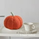 thumbnail image 5 of Simulación de peluche almohada de calabaza juguetes cojines de sofá decoraciones de regalo (rojo) Likrtyny Para estrenar, 5 of 6