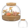 thumbnail image 7 of Nestingho Glass Plant Terrarium Jar - Succulent Planter Container - Round Fish Bowl Vase - Glass Bottles with Cork - Candy Cookie Jar Canister, 7 of 7