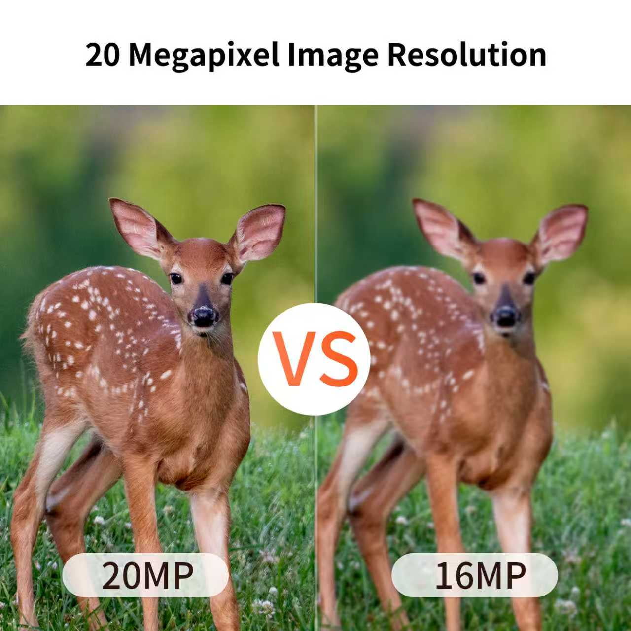 20MP Mini Trail Camera 1080P Hunting Trail Camera with No Glow 940nm Night Vision Motion Activated IP66 Waterproof,80ft Illumination Range Hunting Game Cam for Wildlife Monitoring- Grey