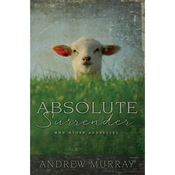 Absolute Surrender (Paperback)