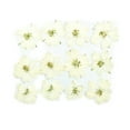 thumbnail image 1 of Pressé Fleurs Home Arts Décoratifs Signets Autocollants Sûr Coloré Multiples Simulation Décor Parfait Cadeaux Fournitures de Fête Blanc, 1 of 6