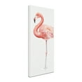 thumbnail image 2 of Trademark Fine Art 'Gracefully Pink VII' Canvas Art by Lisa Audit, 2 of 3