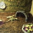 thumbnail image 3 of Sustrato de suelo para reptiles BNOSDM, esponjoso, de hebra pequeña, capacidad de 5 litros, 3 of 7