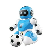 RC Soccer Robots