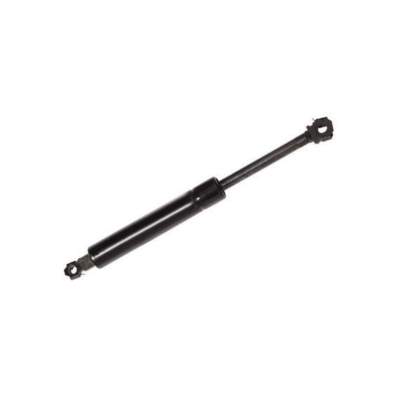 Front Hood Lift Support For 1980-1983 Buick Estate Wagon w/o steel hood
