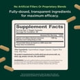 thumbnail image 3 of The Genius Brand Genius Lion's Mane - Plant-Based Supplement for Memory, Focus & Mood Support - Organic & Non-GMO - 120 Veggie Capsules, 3 of 9