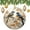 pattern-1522, variant on Ceramic Christmas Ornament Blue Bird On A Shady Tree Under The Full Moon Xmas Tree Ornaments Animal Bird Farmhouse Ornament Christmas Holiday Decorations