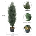 thumbnail image 4 of Poetree 2 Pack 3 ft Cedar Plants Outdoor Artificial Topiary Fake Tree UV Resistant Potted Tree for Porch Decor Faux Pine Tree, 4 of 6