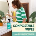 thumbnail image 4 of Aunt Fannie's Multi-Surface Vinegar Cleaning Kit, Lemon (Set of 3), 4 of 6