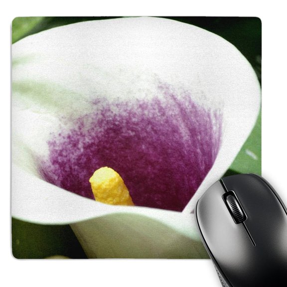 3dRose, white and purple calla lily, MousePad