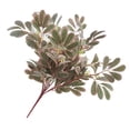 thumbnail image 4 of Planta de bayas artificiales Simulación de tela verde Rama de bayas falsas Adorno de oficina en casa, Rosa verde tholdsy  HA8514-03B, 4 of 6