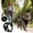 Black, variant on Adjustable Cat Harness & Leash Set No Pull Kitten Harness Reflective Outdoor Pet Gear For Small Dogs Cats Walking Training Use