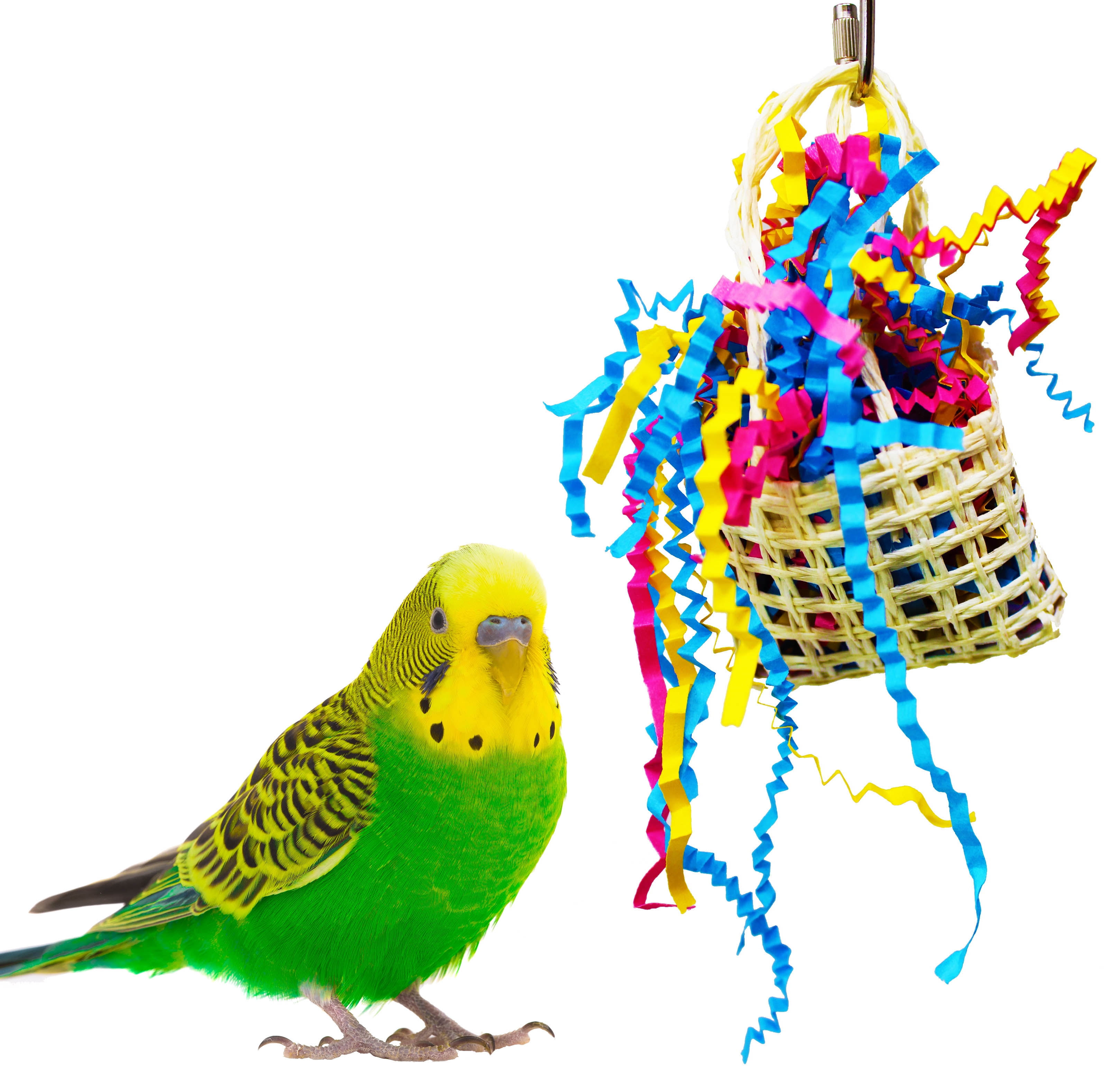 parakeet toys walmart
