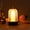 C-As Montre, variante sur Lampe de Table Portable Sans Fil pour Cage à Oiseaux, Veilleuse Décorative à Intensité Réglable avec Commande Tactile, Lampe d'Ambiance Rechargeable pour Fêtes et Maison, Modes d'Éclairage Chaud/blanc, Métal et Acrylique, Blanc