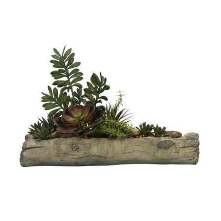 Assorted Succulents On Cement Log