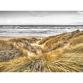 thumbnail image 2 of Frank, Assaf 18x15 Black Ornate Wood Framed with Double Matting Museum Art Print Titled - Tranquil beach with grass, Blackpool, UK, 2 of 4