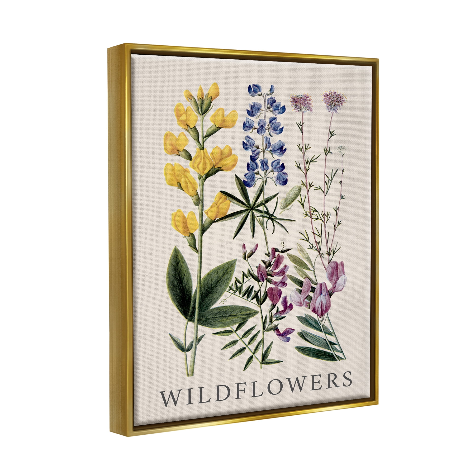 Stupell Industries Wildflower Species Study Botanical & Floral Painting Gold Floater Framed Canvas Art Print Wall Art, 17 x 21