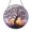 Acrylic 3.5 Inch, variant on Celestial Tree of Life Suncatcher Circle Display Plaque Present Glass