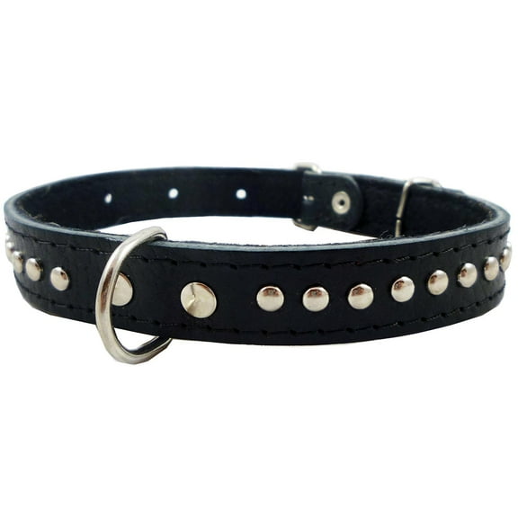 Genuine Leather Studded Padded Dog Collar 15"x5/8" Wide Fits 10"-13" Neck Poodle, Chihuahua, Puppies
