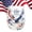 A, variant on Limited Edition USA 250th Anniversary Commemorative Glass 1776-2026 Heritage Patriotic Eagle Whiskey Tumbler American Eagle Commemorative Drinkware Gift for Veterans Collectors