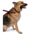 thumbnail image 2 of Country Brook Petz® 3/8 inch Nylon Dog Leash - Burgundy, 6 Foot, 2 of 7