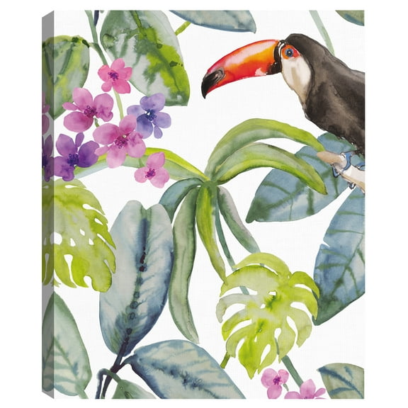 Toucan Hide by Sandra Jacobs Canvas Art Print