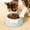 Green19, variant on Iumwxz Raised Cat Food and Water Bowl, Large Capacity 250ml Plastic Elevated Pet Dish with Non Slip Base, Wide Shallow Design Prevents Whisker Fatigue for Comfortable Feeding
