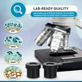 AmScope B120B-WM-BS Siedentopf Binocular Compound Microscope, 40X-2000X ...