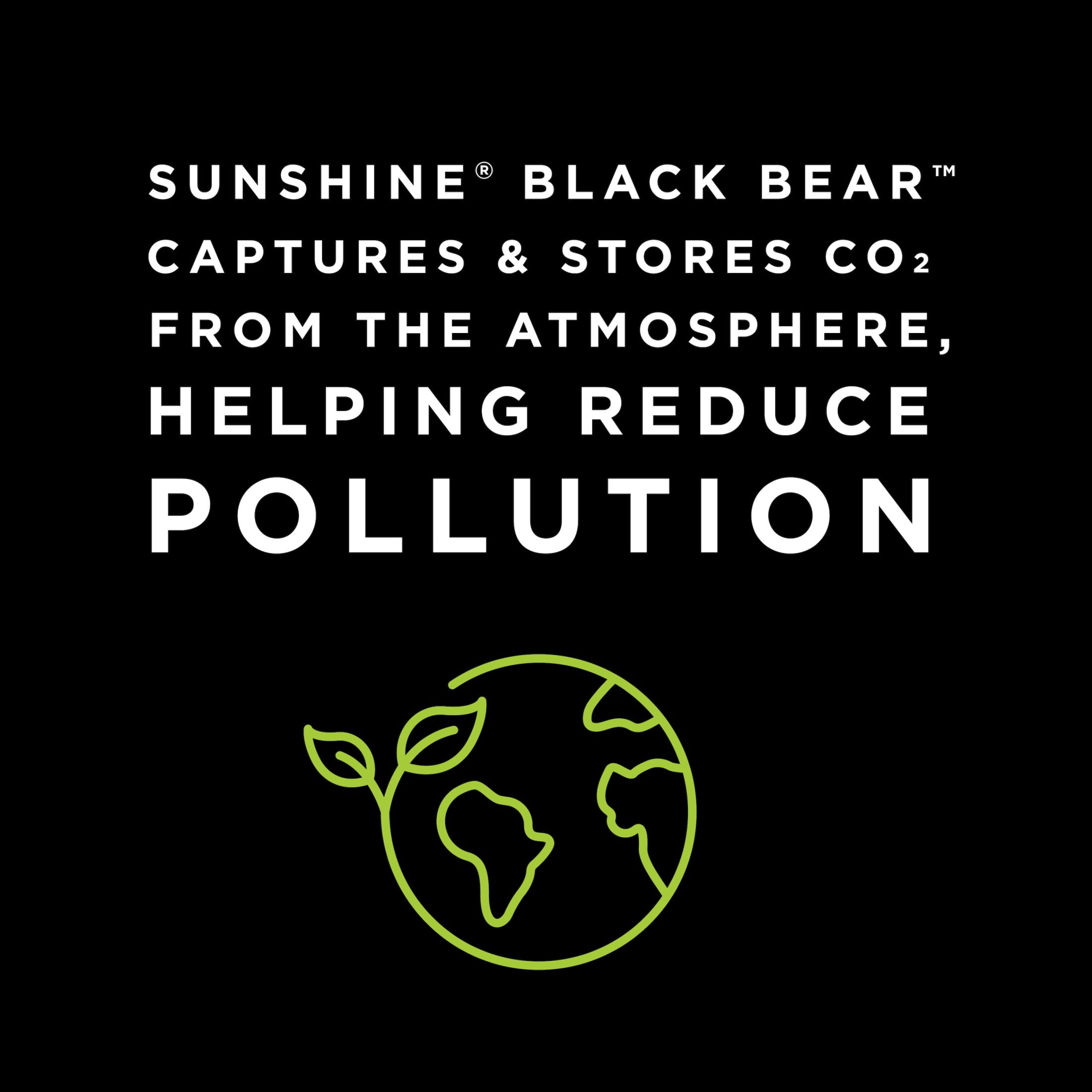 (2 pack) Sunshine Black Bear Indoor Climate Conscious Indoor Outdoor Potting Soil Mix, 8 Qt, 1 New Bag