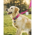 thumbnail image 3 of Collar para perros Joytale acolchado de neopreno ajustable para perros grandes, 3 of 5