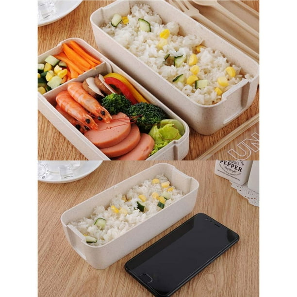Transparent Lid Double Layer Plastic Lunch Box, Portable Food