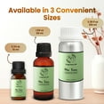 thumbnail image 3 of Scent Aura IV Me Time Fragrance Oil Inspired by Hyatt Hotel Scent Essential Oil for Diffusers (1.69 fl oz, Notes:Sweet Orange, Black Tea,Vanilla, Lily), 3 of 8