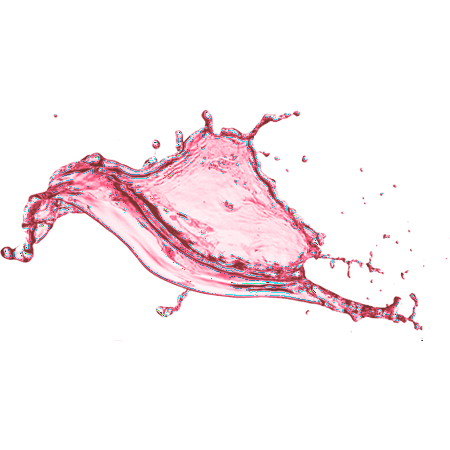 Protein2O Beverage Strawberry Banana Electrolyte 16.9 fl oz (Pack of 12)