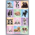 thumbnail image 1 of Keith Kimberlin - Puppies - Cuties Grid, 1 of 5