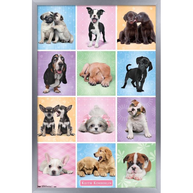 Keith Kimberlin - Puppies - Cuties Grid