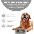 thumbnail image 2 of Fun Feeder Slo Bowl – Large 4‑Cup Capacity, Slow Feeding, Medium to Large Dogs, Non‑Slip, Gray, Drop Pattern, 11.75", 2 of 7