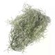thumbnail image 1 of Green Moss for Planters Simulated Hanging Vine Artificial Plants Bonsai Decorative Air Plastic, 1 of 5