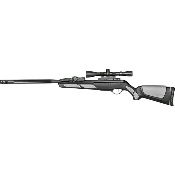 Gamo Swarm Viper 10X Gen3i .22 with scope