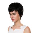 thumbnail image 4 of Ediodpoh Women Short Black Wig Party Synthetic Fashion Wigs Rose Net Hot Wigs for Women Black, 4 of 9